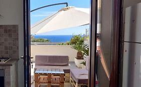 The Terrace